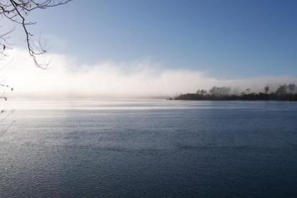 Foggy morning Tamar River