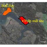google-pic-pulp-mill-site
